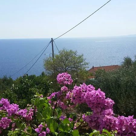 Vino * Sveta Nedelja (Hvar)