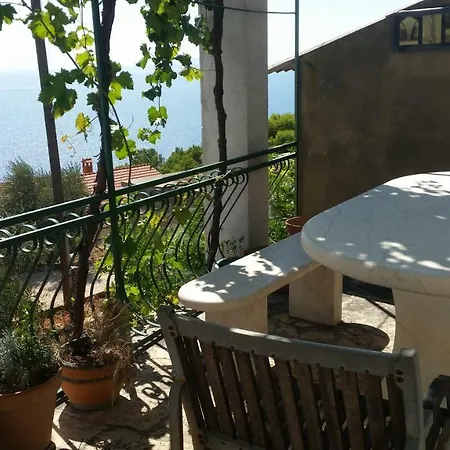 Vino